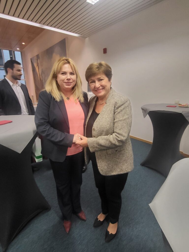 Anca Dragu, la reuniunea guvernatorilor băncilor centrale organizată de FMI la Bruxelles