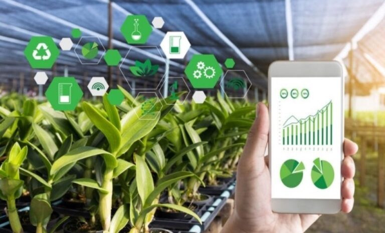 Agricultorii nu se înghesuie să depună dosare pentru subvențiile pentru îmbunătățirea calității solului
