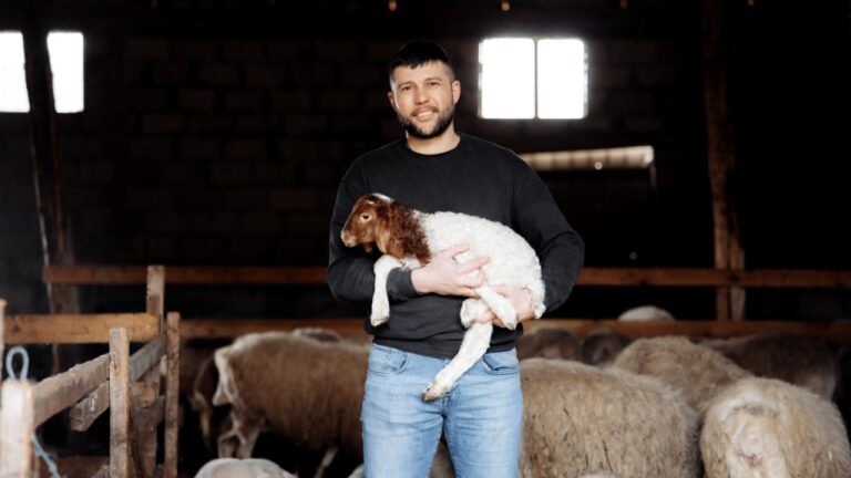 PĂRINȚII I-AU TRIMIS 800 $ SĂ-ȘI IA COMPUTER, IAR ADOLESCENTUL A CUMPĂRAT OI / VIDEO