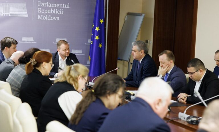 Politicile de reintegrare a țării, discutate la comisia specială a Parlamentului