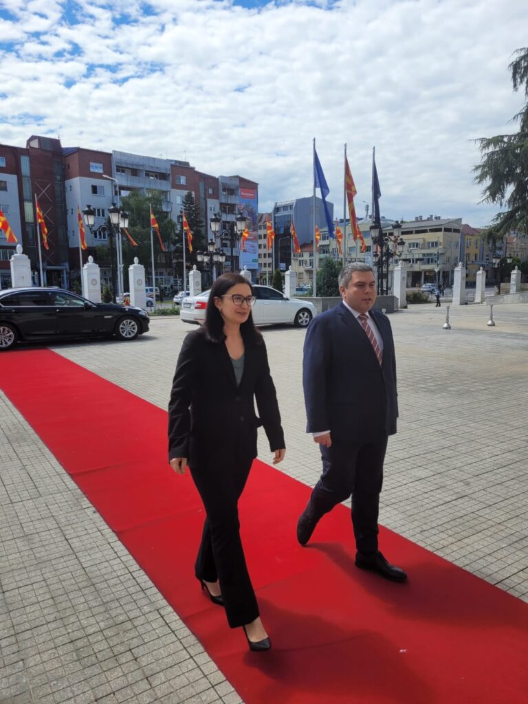 Relațiile cu statele din Balcani și parcursul comun european, abordate de Cristina Gherasimov cu omologul ei din Macedonia de Nord, Bojan Maricik