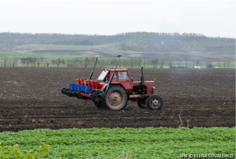 Au fost recepționate 226 de cereri pentru creditul agricol de urgență