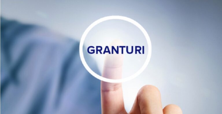 Un șir de companii vor beneficia de granturi de 7,3 mil. de lei pentru procurare de echipamente