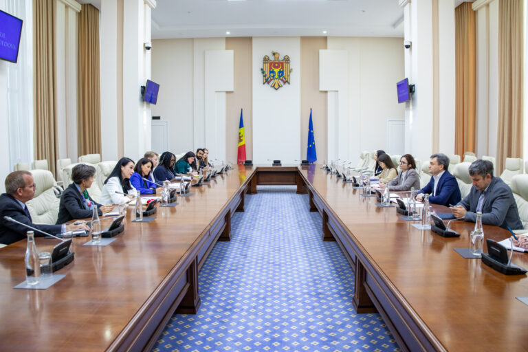 Programele ONU de combatere a violenței împotriva femeii, discutate la Guvern