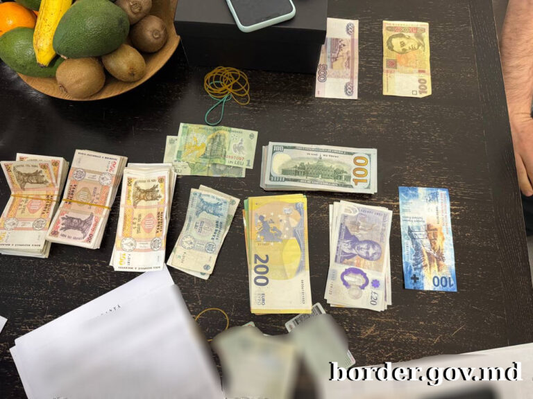 Piese auto de contrabandă de șase milioane de lei, depistate în urma unui șir de percheziții din mai multe orașe