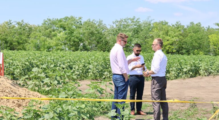 Ambasadorul României, vizită pe șantierul de construcție a liniei electrice Vulcănești-Chișinău