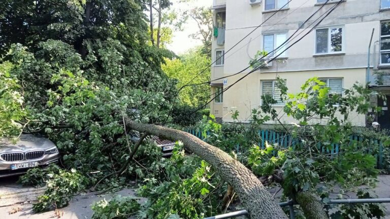 O fată de doar 12 ani și un bărbat au murit striviți de copacii doborâți de furtuna de marți