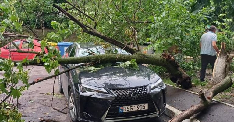 Ploaia și vântul puternic au făcut ravagii în Chișinău