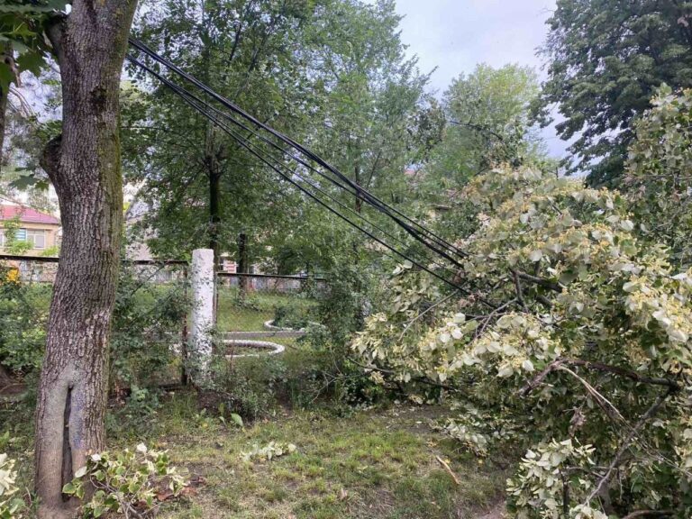Ploaia și furtuna de aseară a lăsat parțial sau în totalitate 130 de sate fără curent electric, 40 au fost reconectate