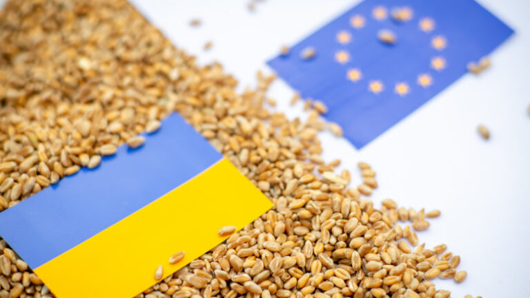 UE a prelungit cu încă un an suspendarea taxelor pentru exporturile ucrainene