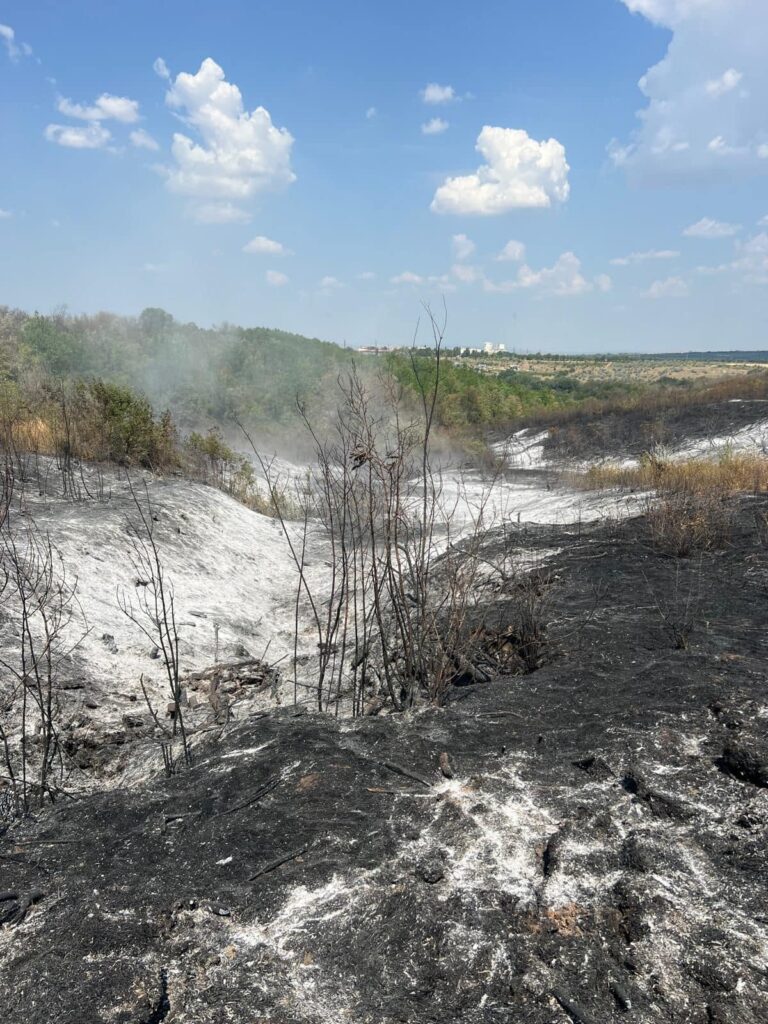 FOTO/ 20 de hectare de teren, afectate de incendiul de la Cahul. Experți: Va fi nevoie de 7 ani pentru a readuce pădurea în starea inițială