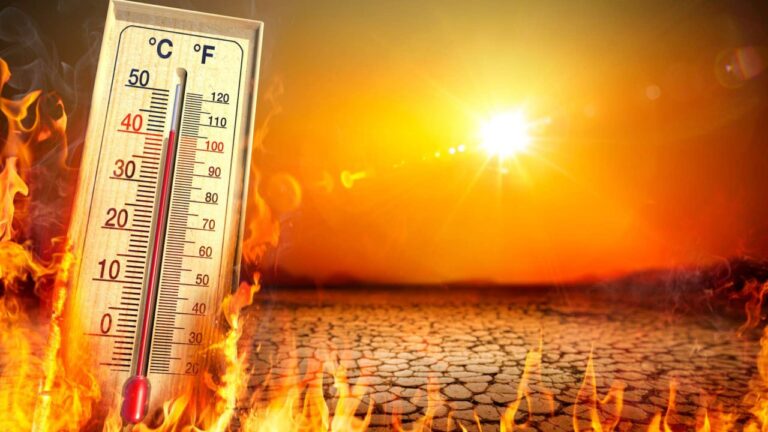 Cod Galben de caniculă și pericol de incendiu: Câte grade sunt prognozate în sudul țării