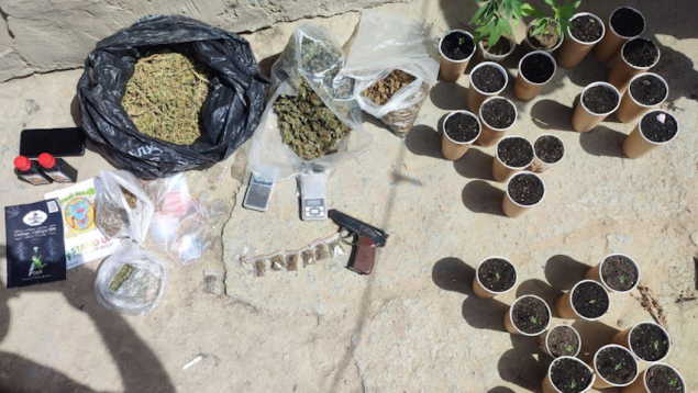 VIDEO/ „Afacere” cu marijuana la Cahul: Droguri de peste un milion de lei ridicate și doi bărbați, arestați