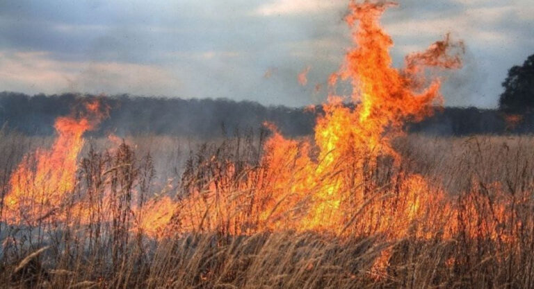 Cod galben de pericol de incendiu în toată țara până pe 15 iulie: Avertizarea meteorologilor