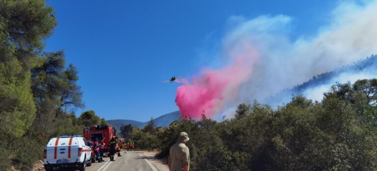 O echipă de pompieri moldoveni a intervenit în prima misiune de lichidare a incendiilor de pădure din Grecia