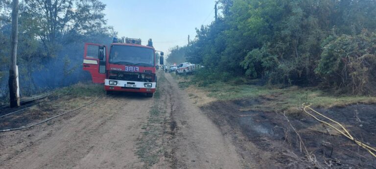 FOTO/ Incendiu de proporții la Cantemir: Cinci case au fost cuprinse de flăcări, iar un bărbat și-a pierdut viața