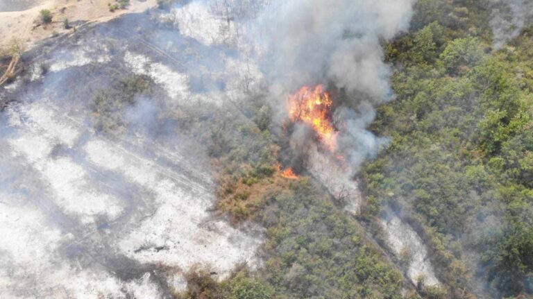 FOTO/ Incendiu de proporții la Cahul: Circa 6 hectare de pădure, mistuite de flăcări
