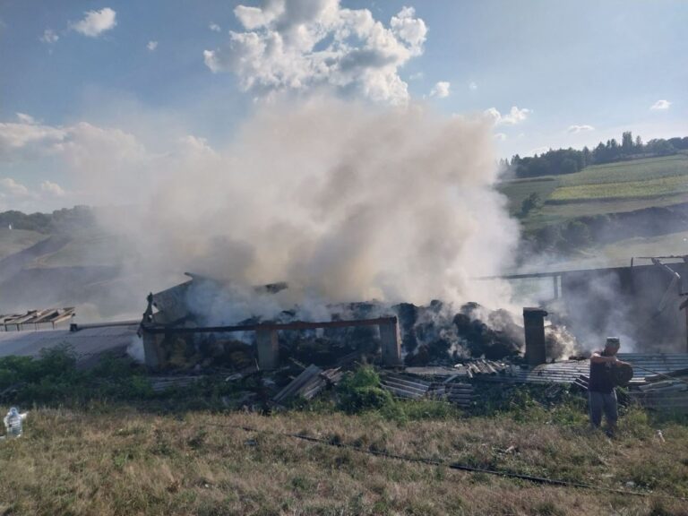 Incendiu la o stână din raionul Briceni, acolo unde au ars 4000 de baloți de lucernă. Peste 200 de oi au reușit să fie salvate