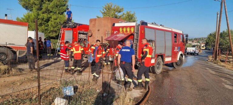 Al doilea efectiv de pompieri moldoveni, implicați în acțiuni de stingere a incendiilor de păduri din Grecia