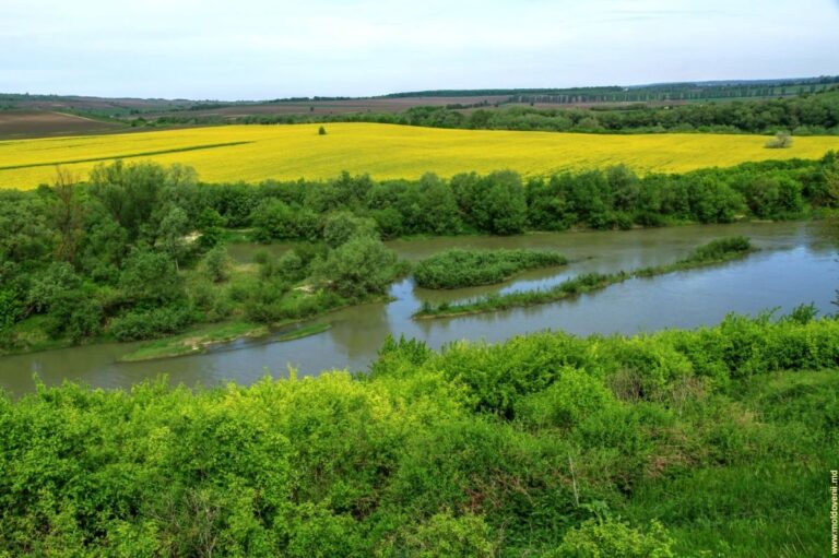 Stejarul lui Cantemir, Valul lui Traian și slujitorii lui Ștefan cel Mare. Descoperim Leova din Valea Prutului