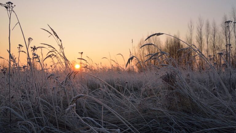 Meteorologii au emis cod galben de înghețuri în R. Moldova