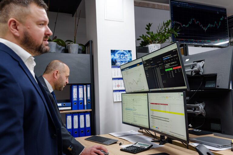 Energie electrică garantată pentru toți consumatorii pe 5 ianuarie