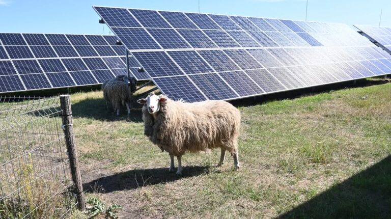 Consumul de energie electrică, în scădere pe 28 ianuarie: Anunțul Energocom