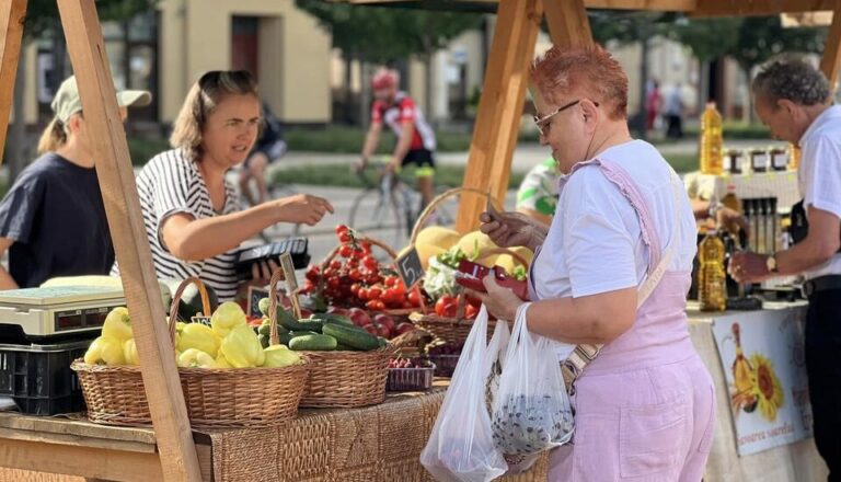 Statul va compensa 50% din creșterea tarifului la energie electrică pentru producătorii din sectorul alimentar și industria prelucrătoare