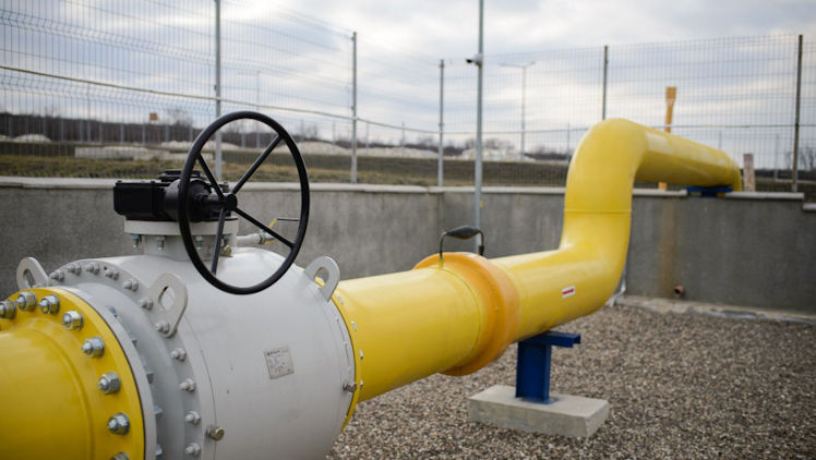 Audit la Energocom: Ce deficiențe au fost depistate