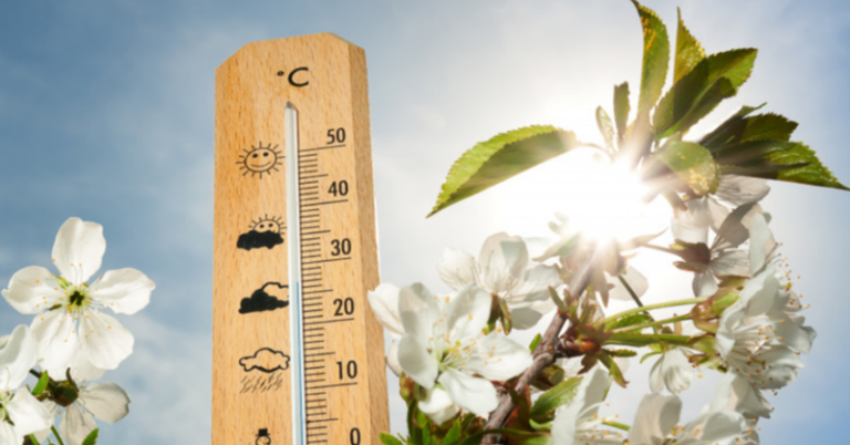 Cum va fi vremea în aprilie? Prognoza meteo pentru Moldova