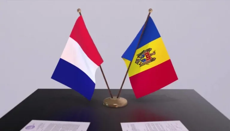 Parlamentul a ratificat acordul cu Franța: Pensii și drepturi sociale pentru moldovenii din diaspora