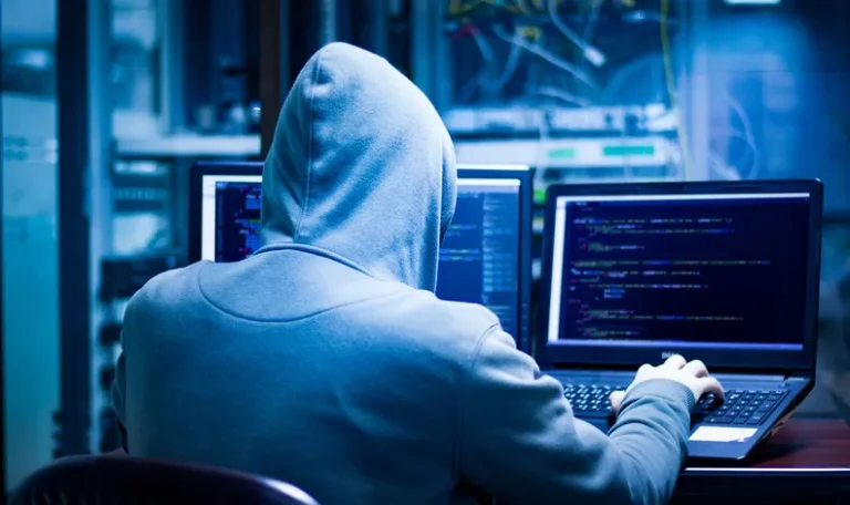 Grupul de hackeri „Ursul Spălător”, sprijinit de Rusia, în spatele atacurilor cibernetice asupra NATO și poliției olandeze