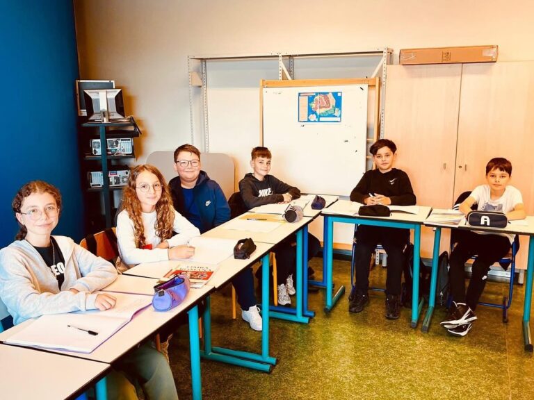 Limba română, materie obligatorie într-o școală din Franța