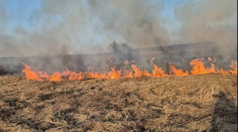 Sute de persoane, sancționate pentru incendierea vegetației și a deșeurilor