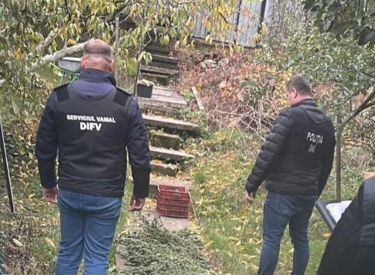 (VIDEO) Droguri în valoare de peste 4 milioane de lei, descoperite la Strășeni: Un bărbat, reținut