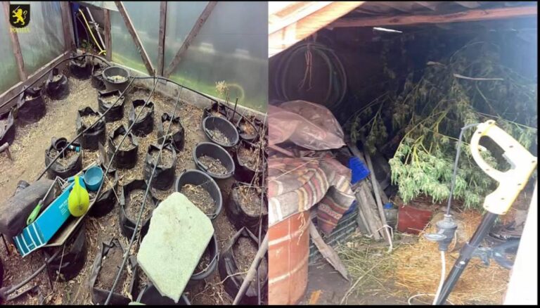 (VIDEO) Trei bărbați din Chișinău și Criuleni, reținuți pentru trafic de droguri