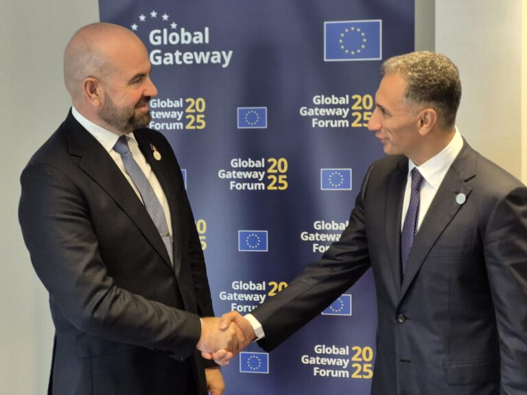 Vicepremierul Vladimir Bolea, la Bruxelles: R. Moldova nu cere doar sprijin, ci oferă și parteneriat