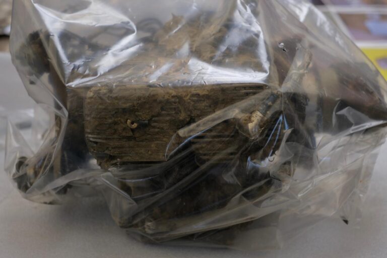 (FOTO) Ambasadorul Rusiei la București, convocat la MAE: „I-au fost prezentate dovezi palpabile, ample și solide ale violării spațiului aerian al României”