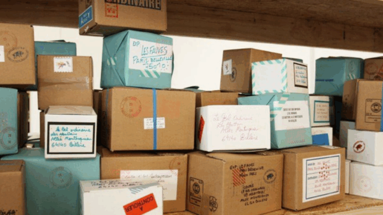 Un registru electronic al coletelor ar putea fi creat în Republica Moldova