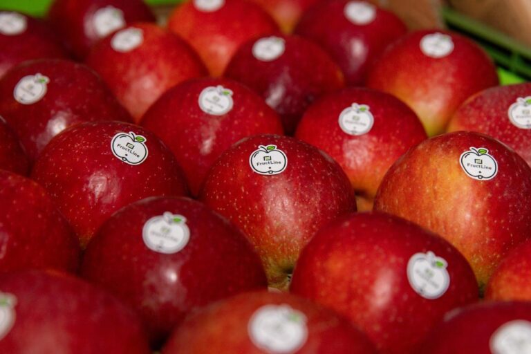 Premierul Alexandru Munteanu: Uniunea Europeană, o piață tot mai importantă pentru fructele din R. Moldova