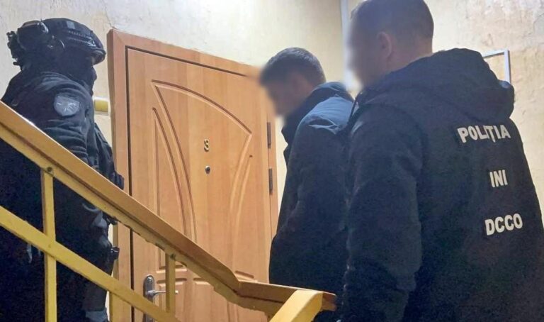 (VIDEO) Escrocherie de circa 500 000 de dolari: Patru tineri, reținuți pentru vânzări fictive de mașini