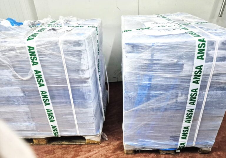 (VIDEO) Un lot de peste două tone de carne de pui contaminată cu Salmonella, blocat la frontieră