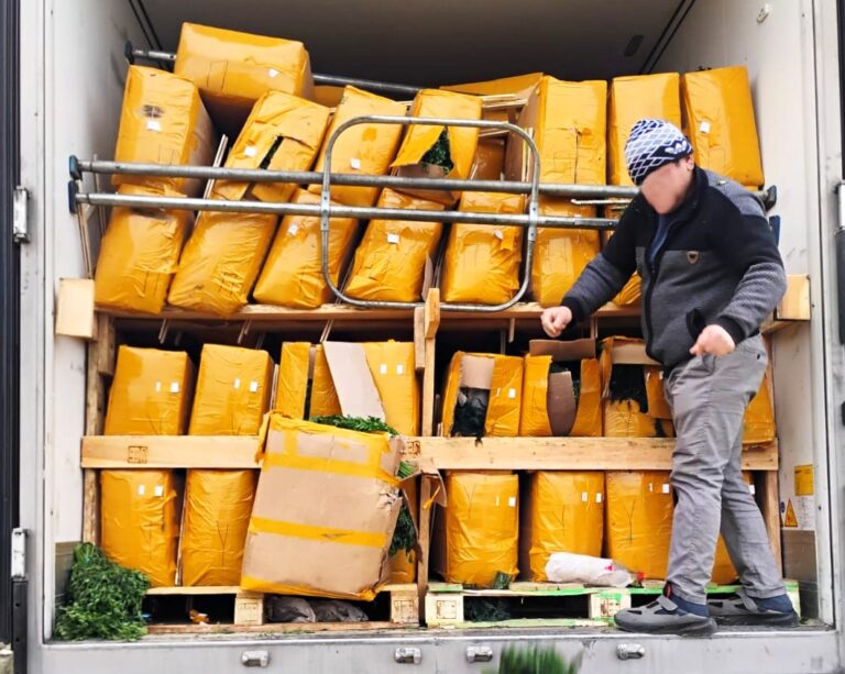 (VIDEO) Tone de mărar și pătrunjel, distruse de ANSA. Care este motivul