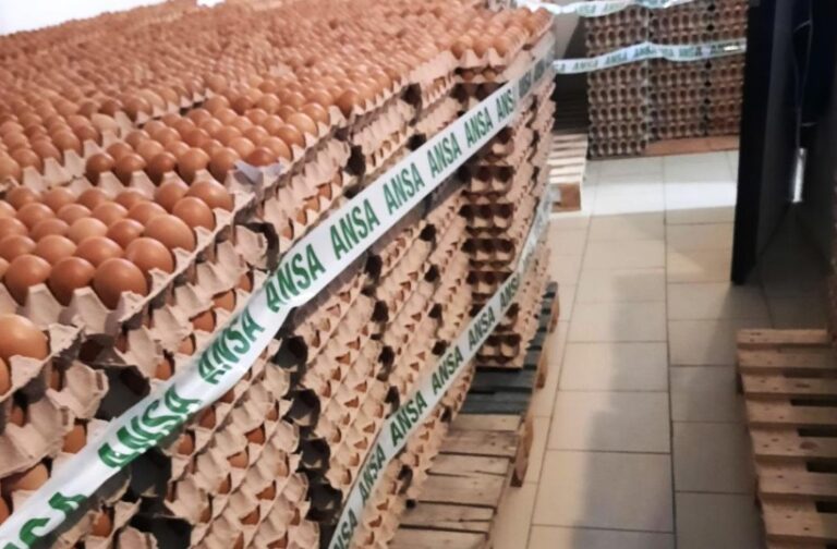 Peste 132 mii de ouă, ce conțineau reziduuri de antibiotice, nimicite de ANSA