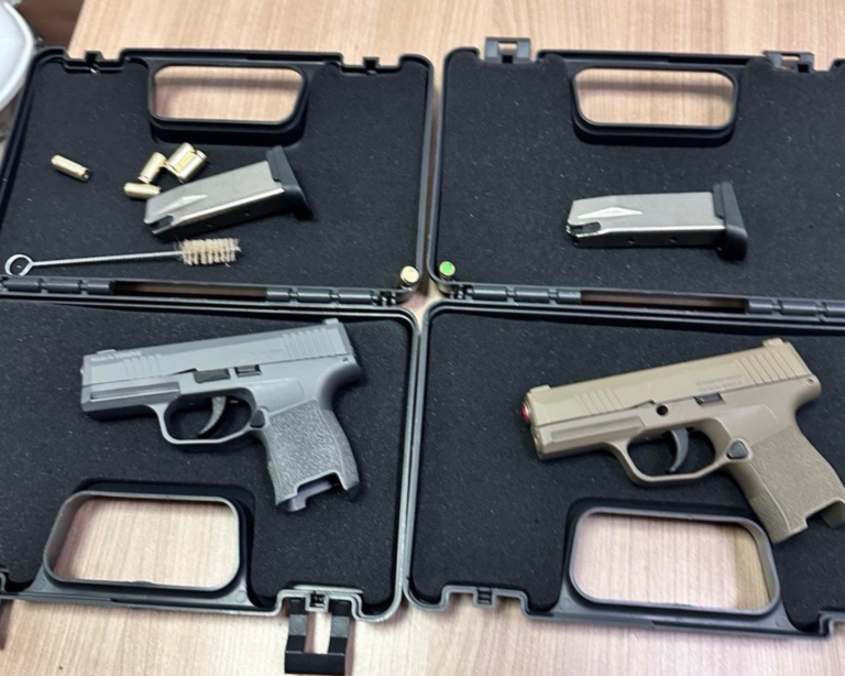 Incident la vama Palanca: Un cetățean străin, prins cu pistoale de semnalizare și muniție în bagaj