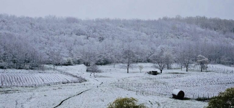 Revelion cu zăpadă, vânt și ger 