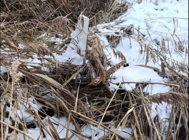 Noi detalii despre drona descoperită în raionul Telenești