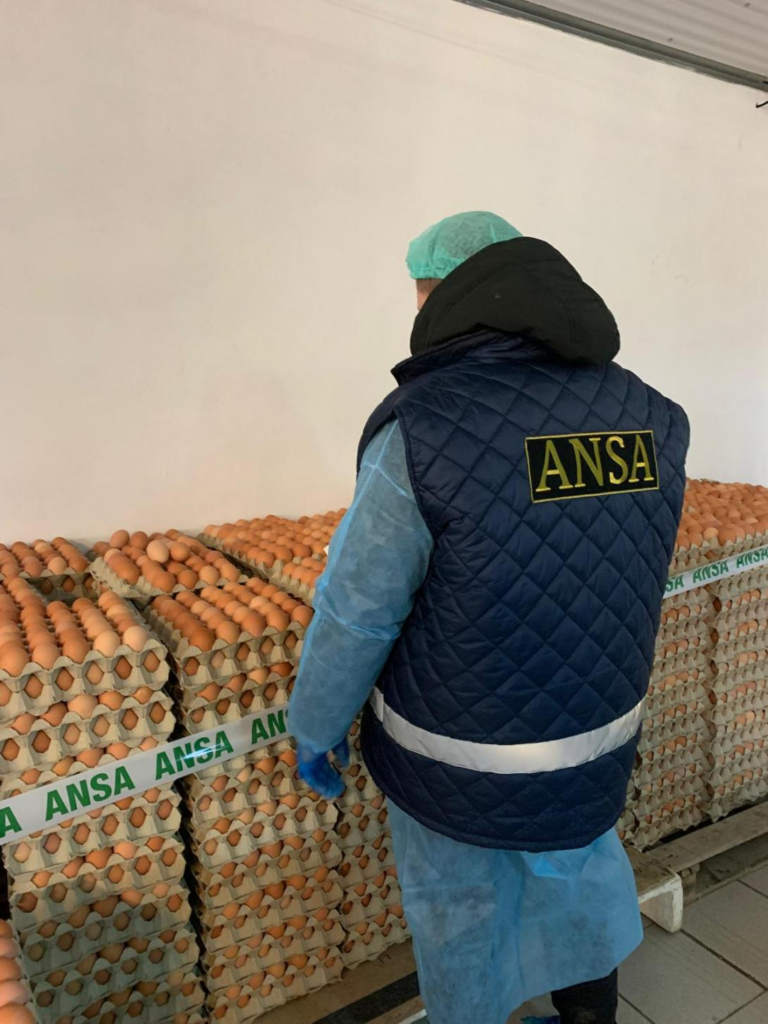 ATENȚIE! Rechemare de produs – Ouă de găină de la SRL Raiplai-Avicola