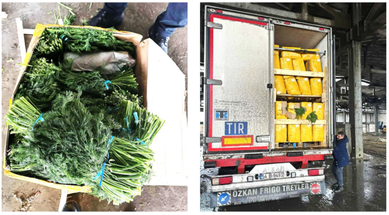 (FOTO) Tone de mărar, distruse de ANSA. Care este motivul