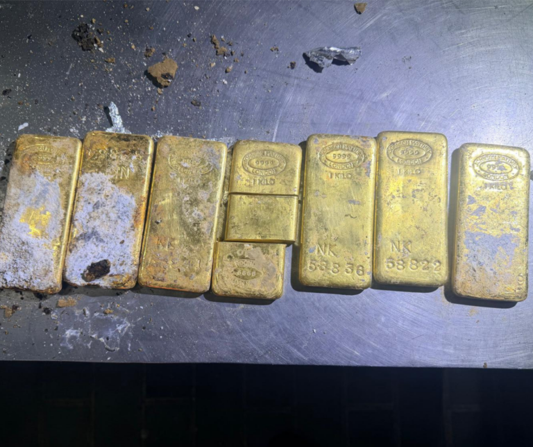 (VIDEO) Tentativă de contrabandă de 19 milioane de lei: Șapte lingouri de aur, descoperite de vameși